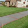 Brick bordered driveway